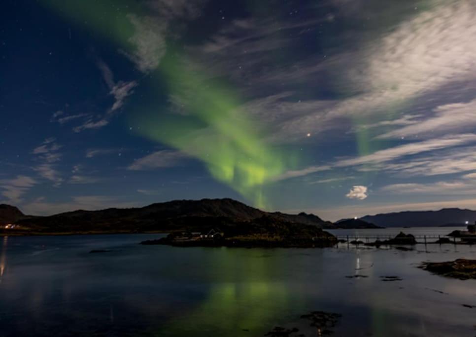 Aurora *